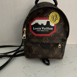 Louis Vuitton Palm Springs Mini Backpack (Authentic)