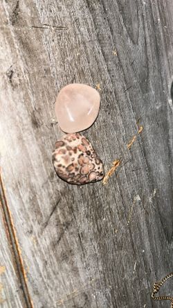 2 Collectible Polished Rocks