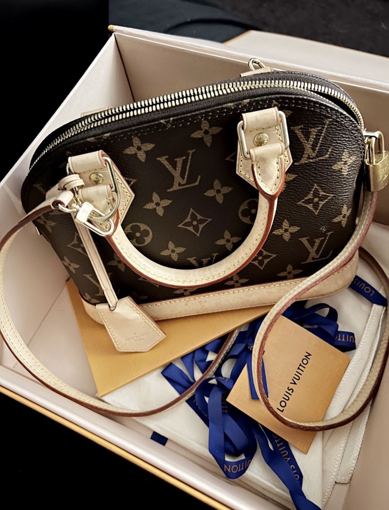 Louis Vuitton LV Bag Alma BB Brown Monogram 