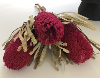 Beautiful Magenta and sage colored dried flowers