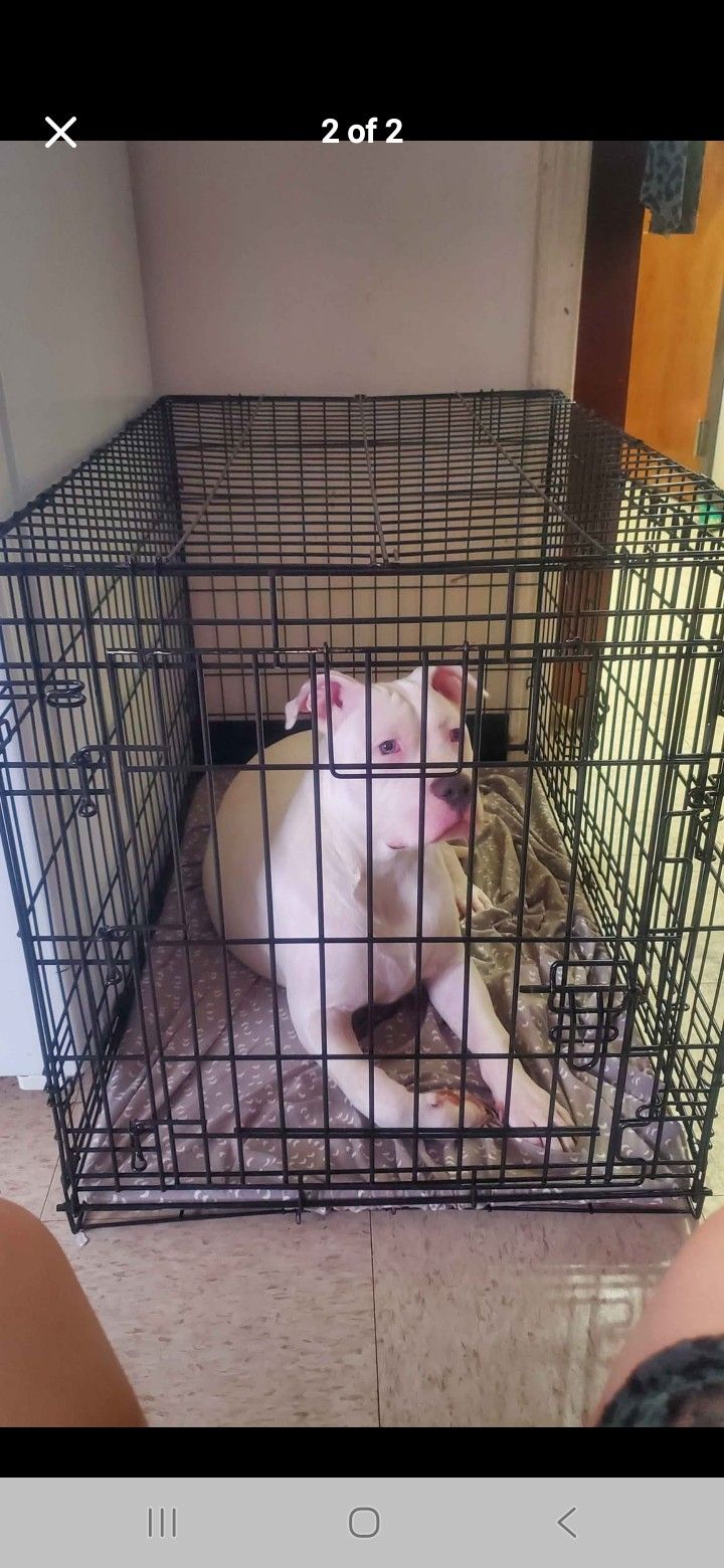 Large 2 Door Crate