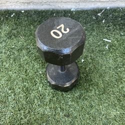 Single 20lb Dumbbell