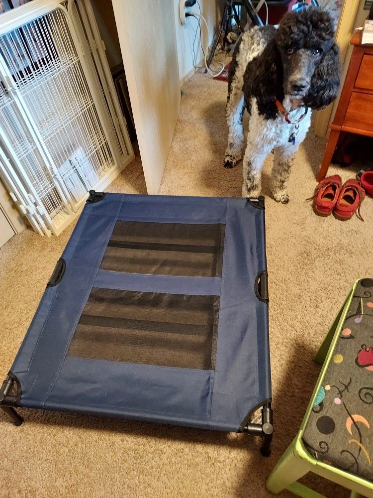 Pet Bed