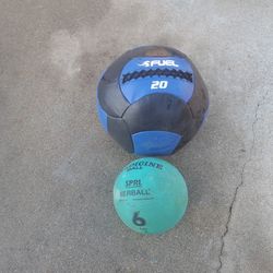 Rogue Medicine Ball