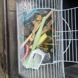 Animal Carrier W/bird Toys