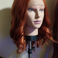 Synthetic Lace  Wig $20 New