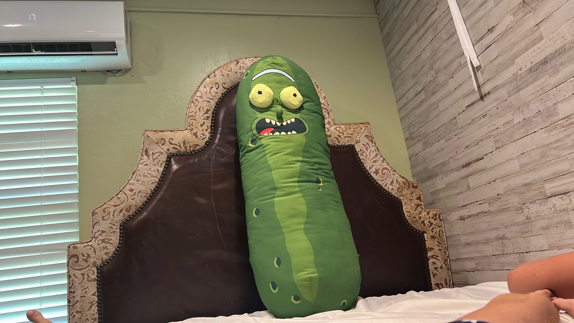 Pickle, Rick