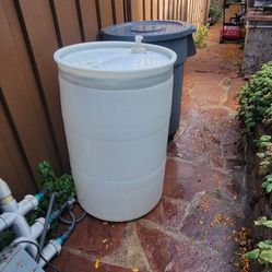 55 Gallon Freshwater Tank