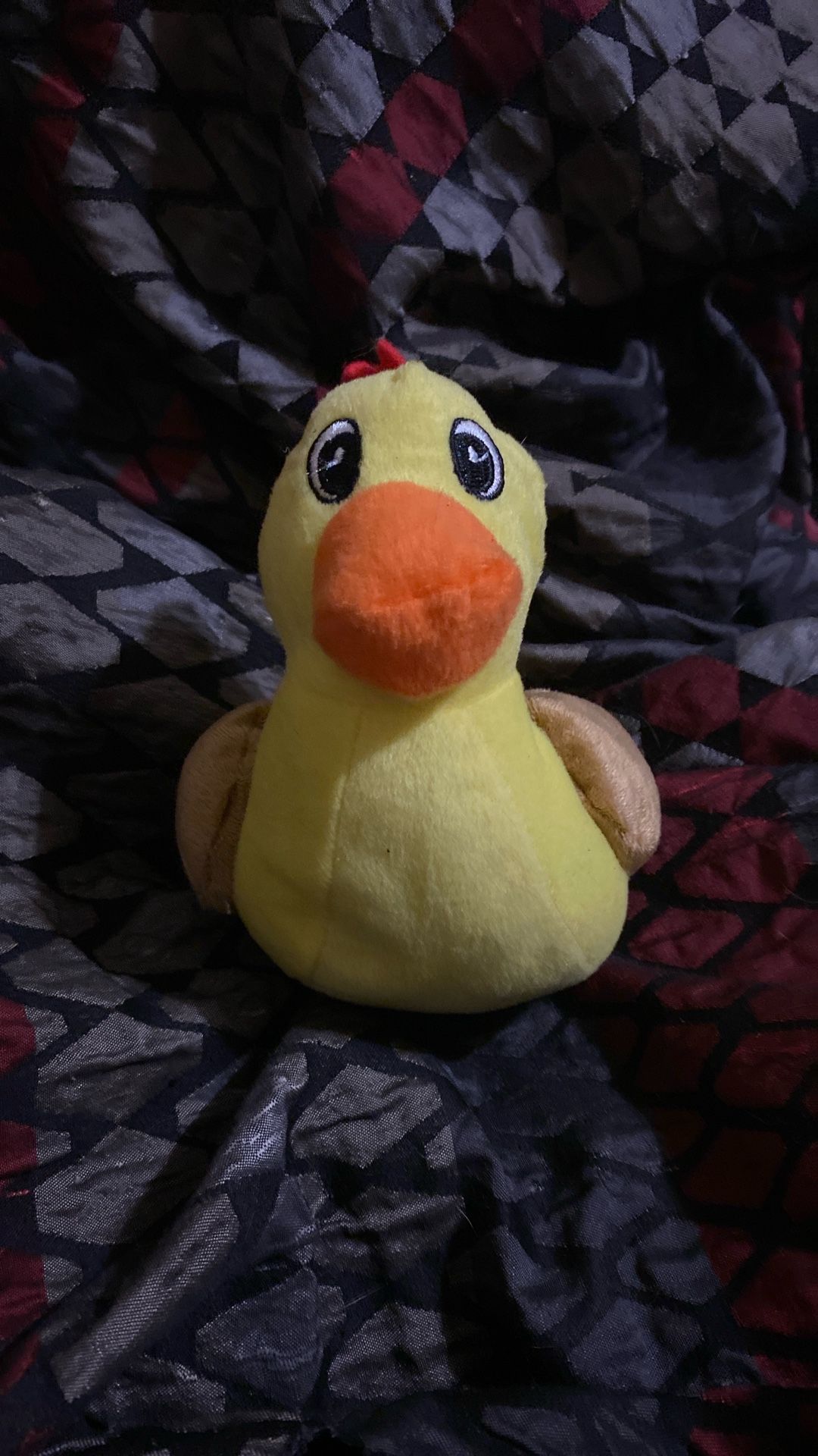 Chicken Duck