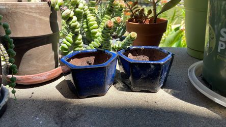 Small Blue glazed pots