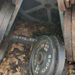 Golds Gym And Sports Authority Barbell Weights Steel  Used 