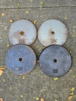 4x 25lb Standard 1inch Weight Plates