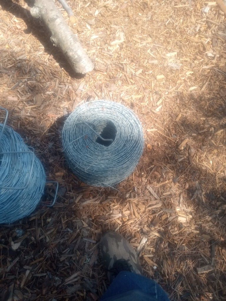 Barbed Wire