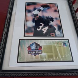Walter Payton Hall.of Fame Memorabilia 20x16