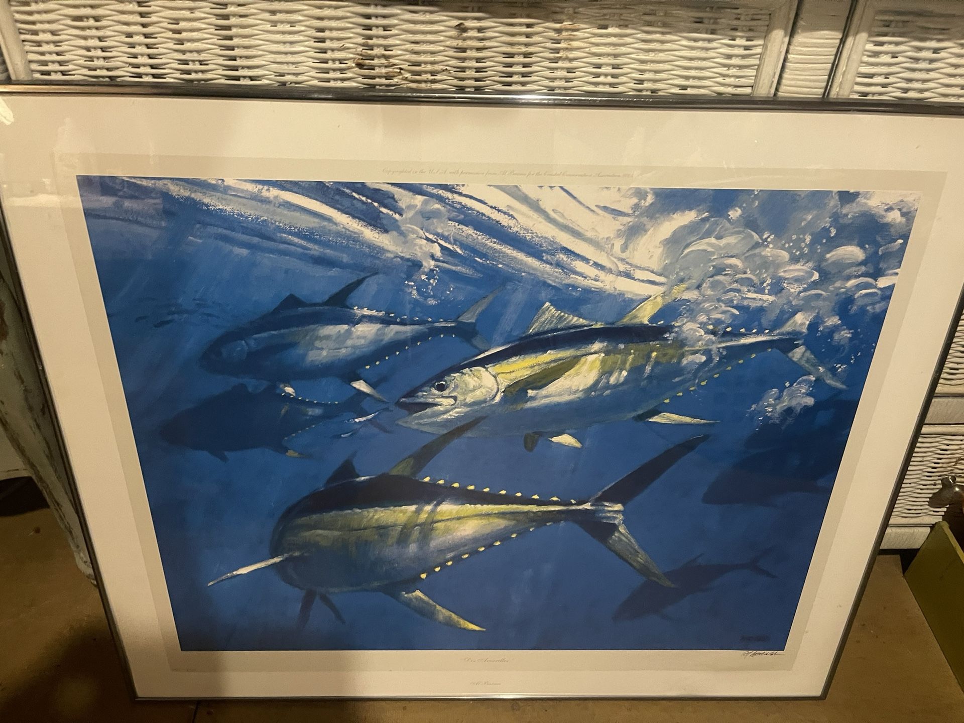 Dos Amarillos by Al Barnes 655of850