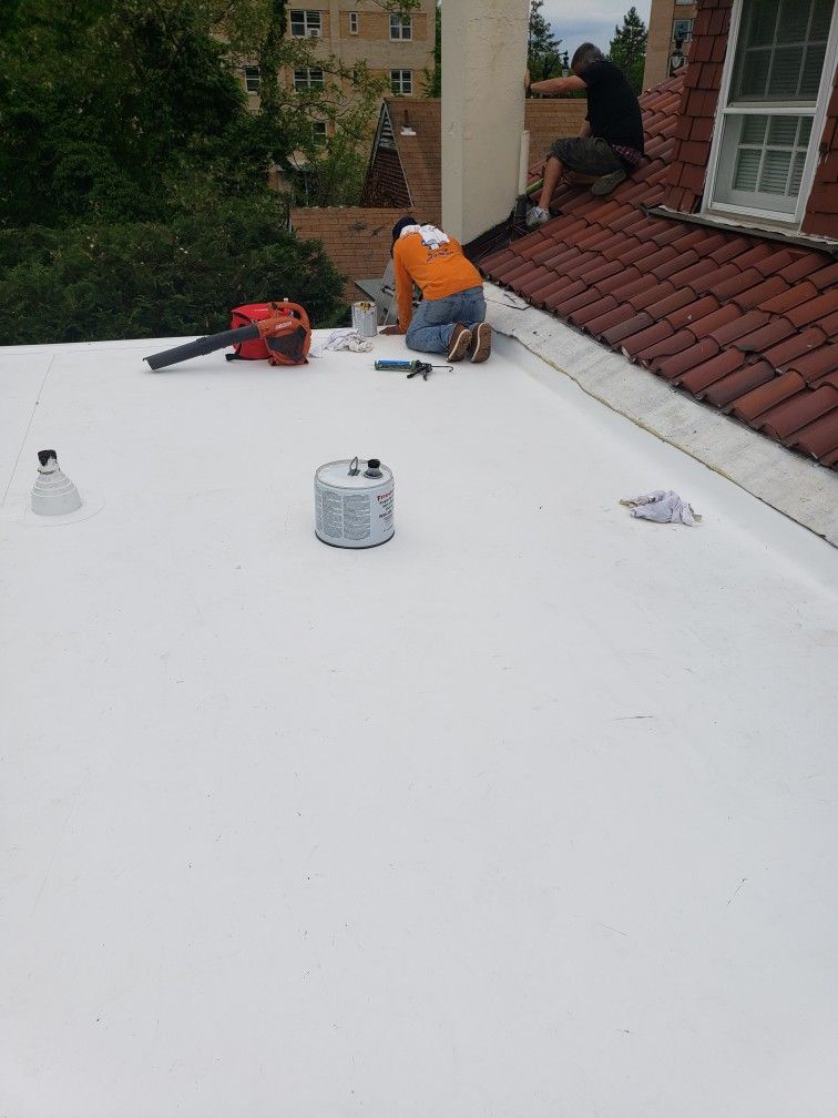The Best Flat Roof New ,leaks. Shingle.