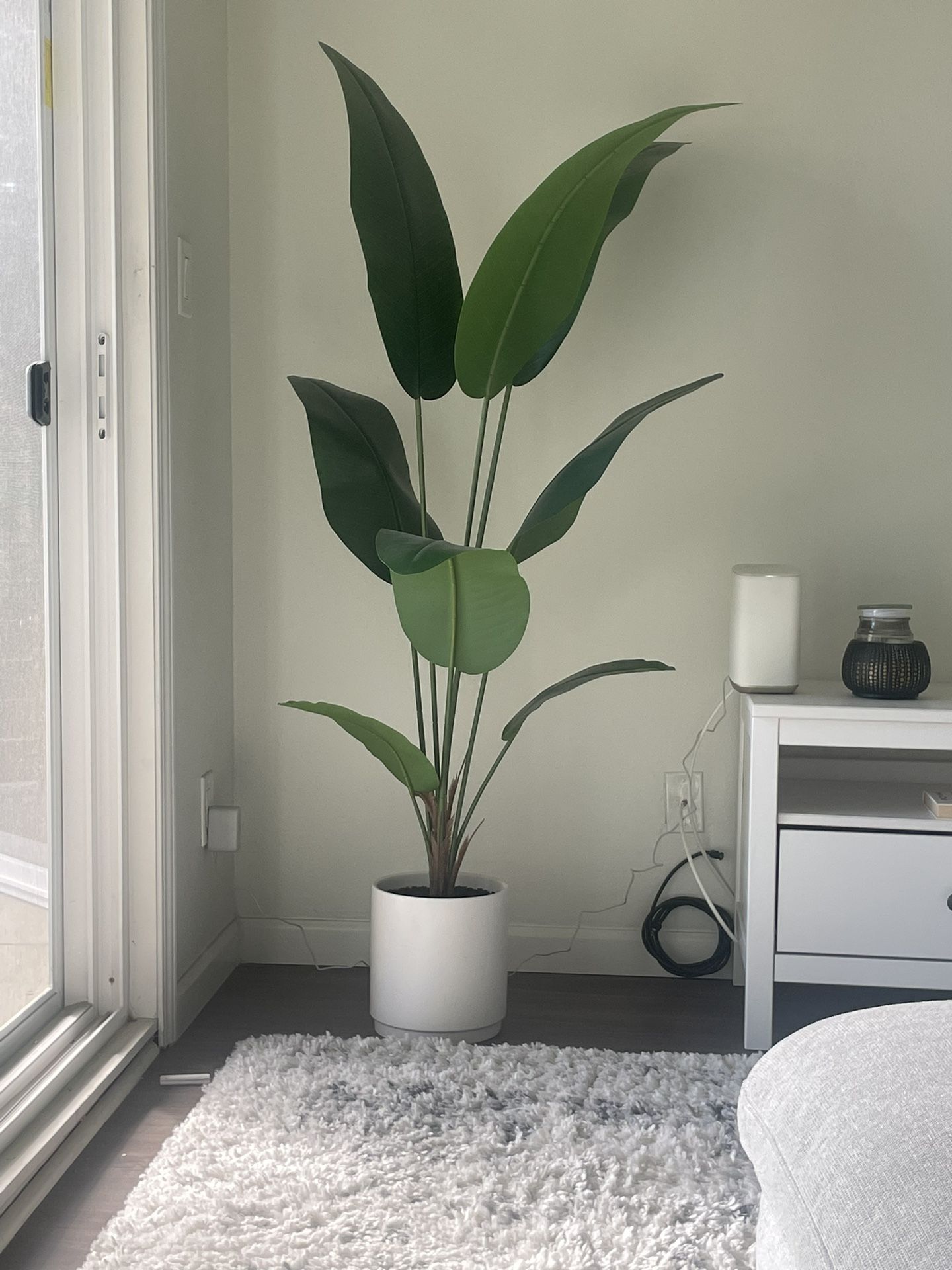 Faux Plant 