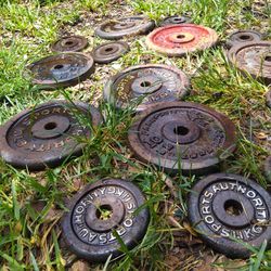 Cast Iron Vintage Weights (7 )10 Lb Weights ( 6 )5 Lb Weights