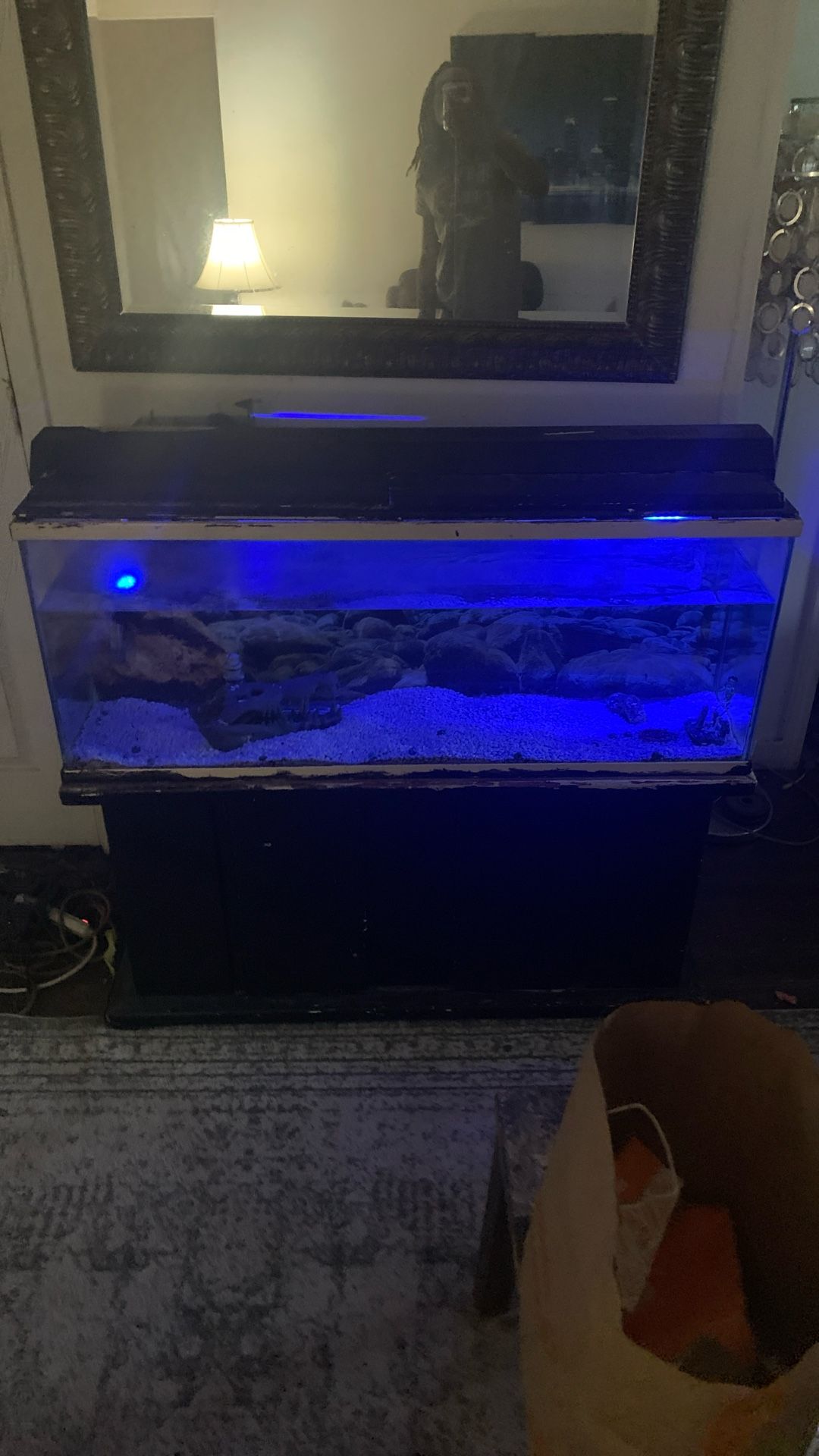 Fish Tank
