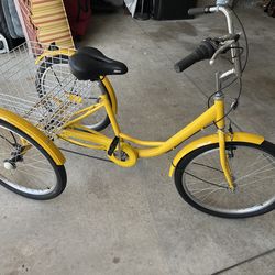 Tricycle Cruiser