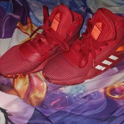 Adidas Shoes