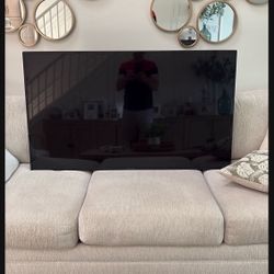55” Insignia Smart TV