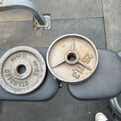 25 Lb Olympic Weights