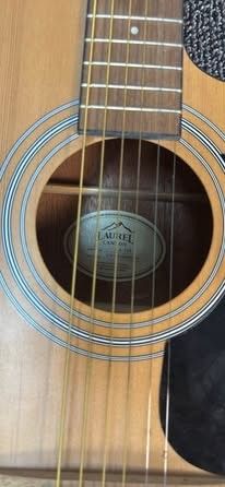 Laurel Canyon LA-100 Acoustic Guitar