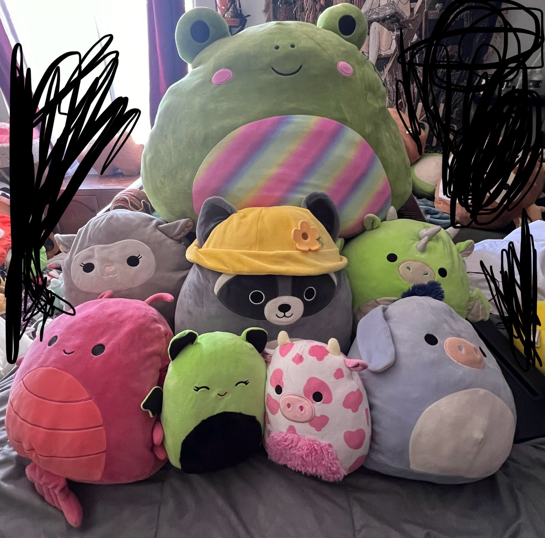 Squishmallows For Sale