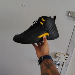 Jordan 12s Black Taxi 