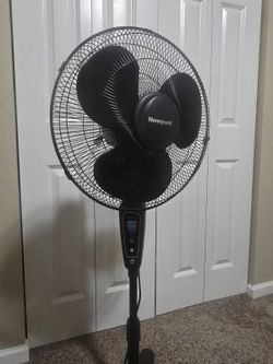 Fan