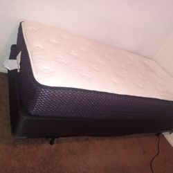 Twin Bed New