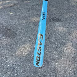 Easton Beast Speed 25” Youth Baseball Bat – USA Baseball