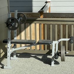 Weight Bench With Weights (100lbs Total On Weights)