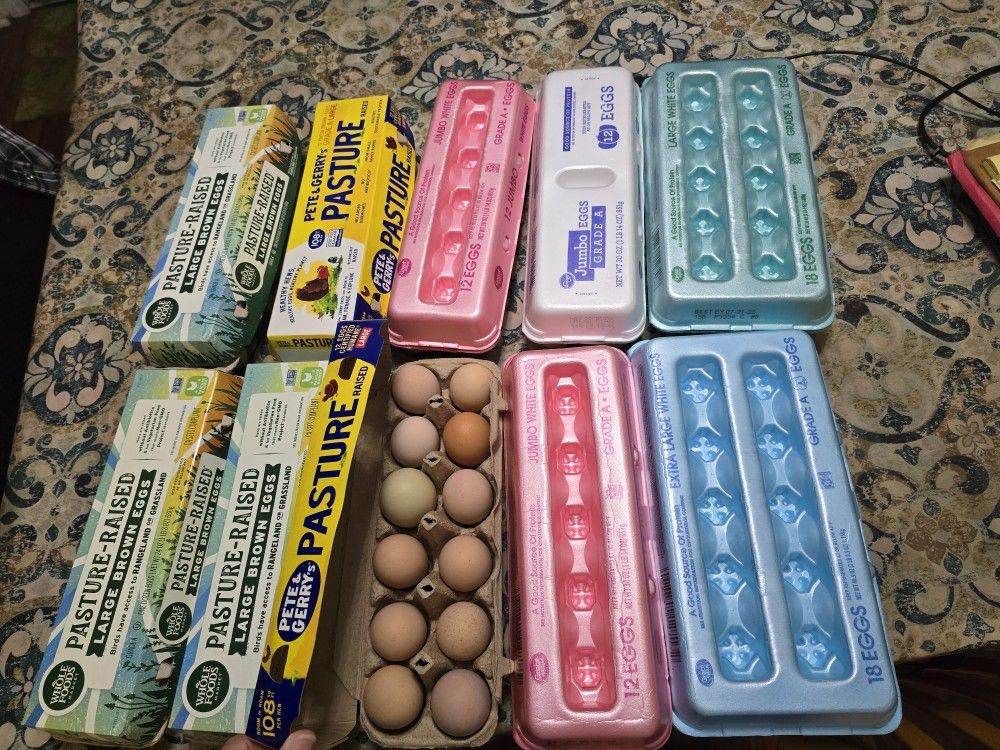 5 Dollars A Dozen