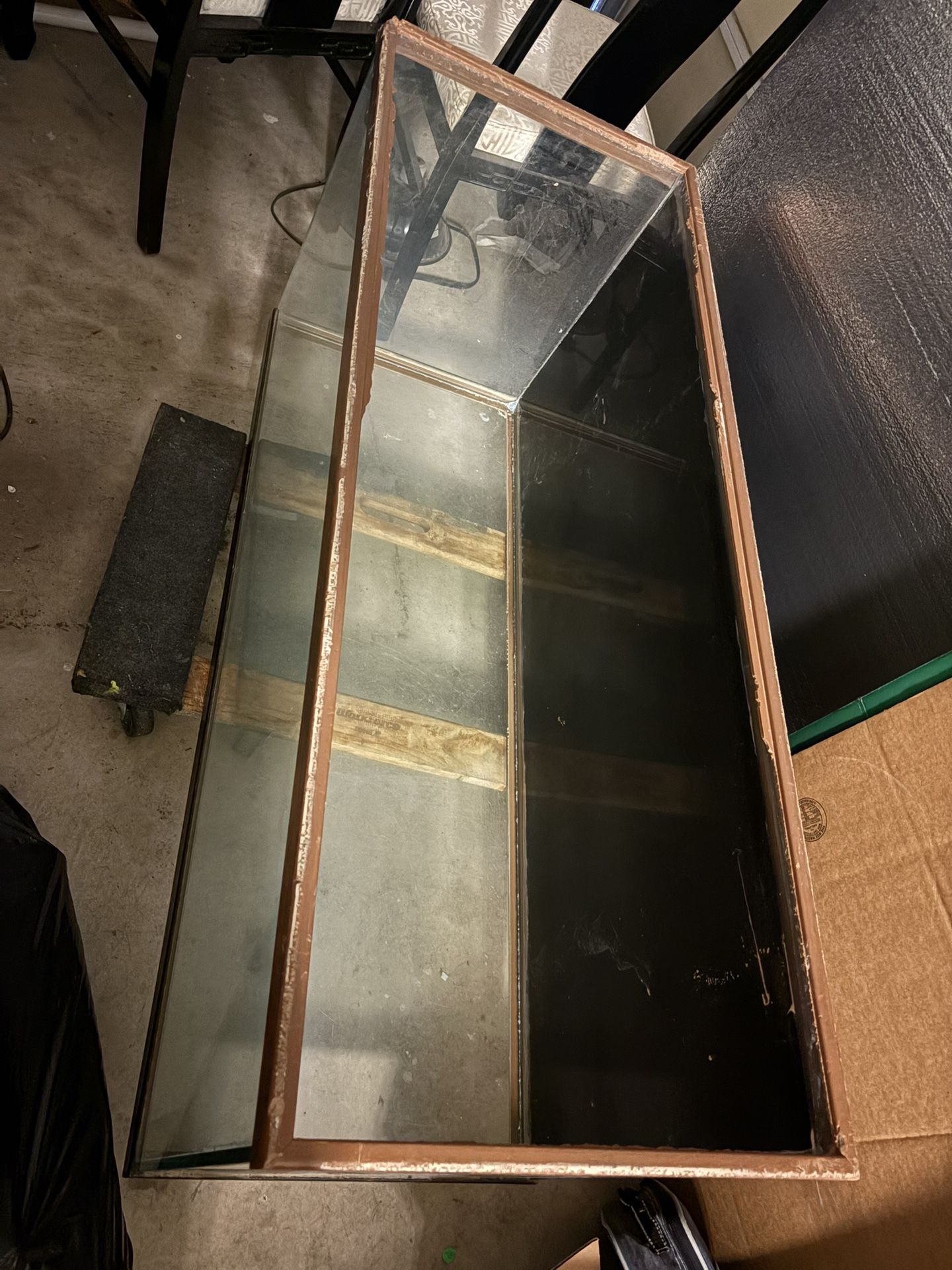 Large Fishtank