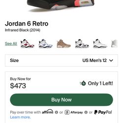 Retro 6 Jordan Infrared 320$$