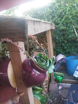 Nice half wall pot with plants ir empty
