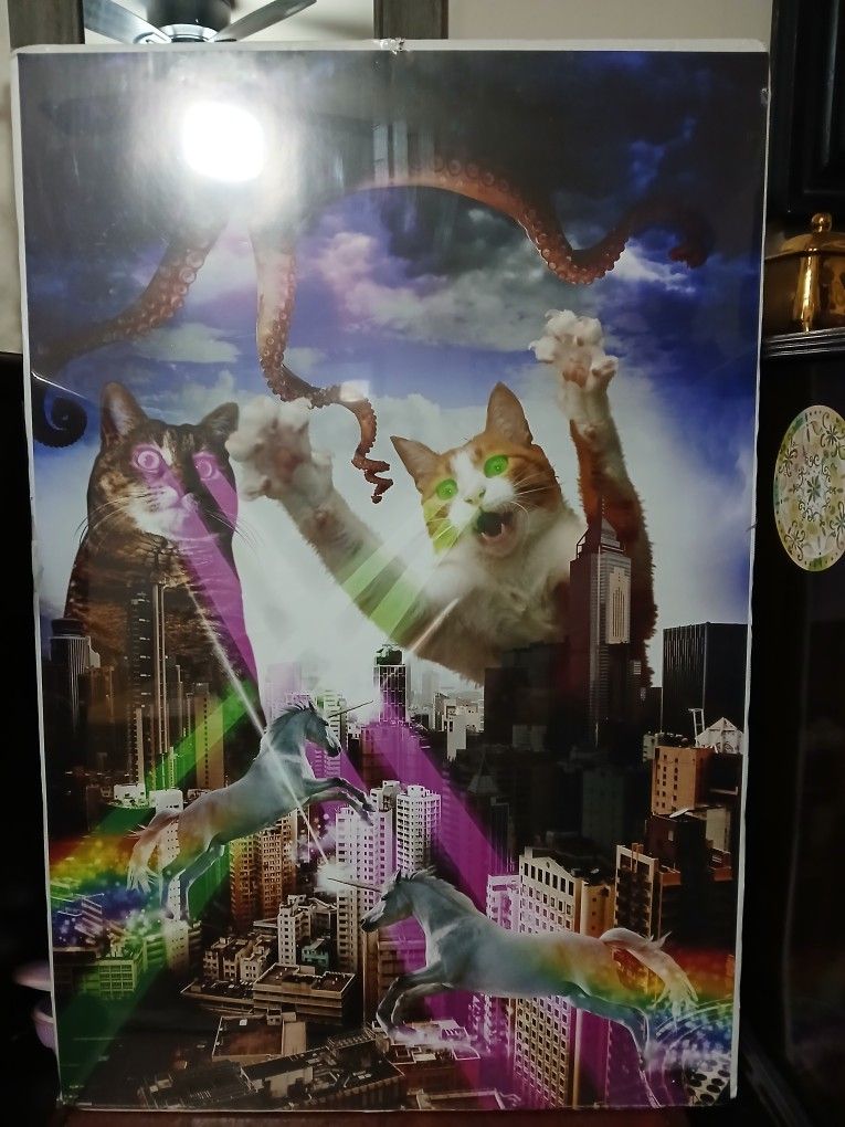Cat Picture