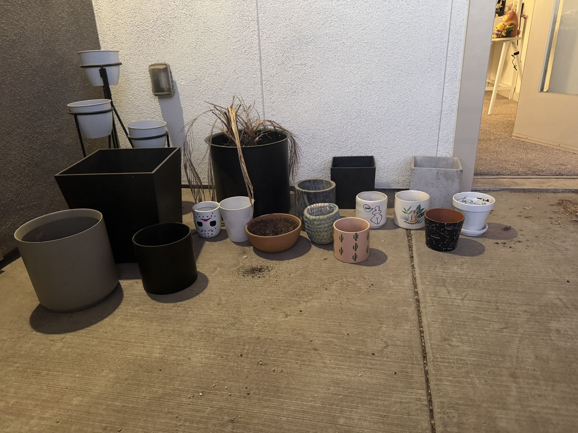 Pots For Plants (variety) 