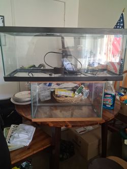 20 and 10 Gallon Aquarium