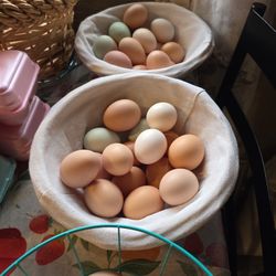 Farm Fresh EGGS 