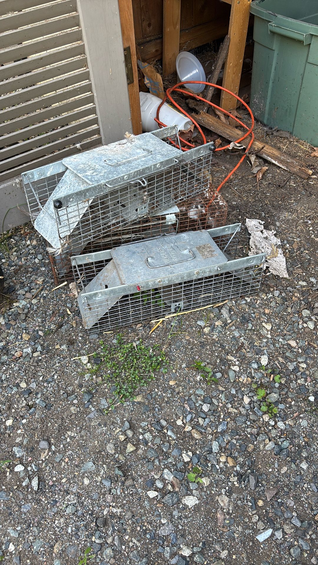 Live Traps