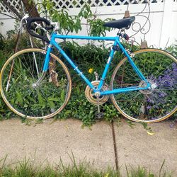 schwinn traveler road bike 