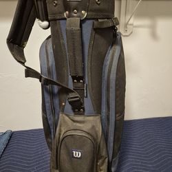 Wilson Golf Bag