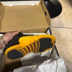 Jordan 12