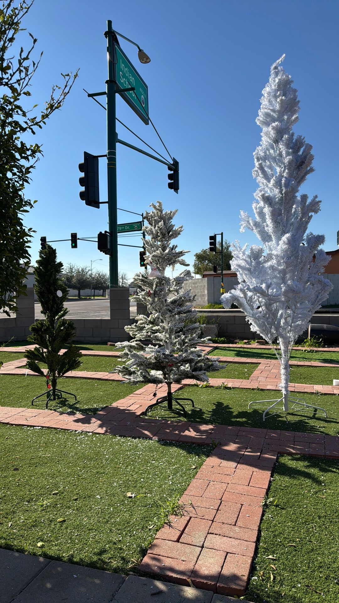 Christmas Tree New Diff Prices