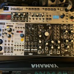 Modular Euro Rack Fire Sale! Everything Must Go! Prices Inside Description