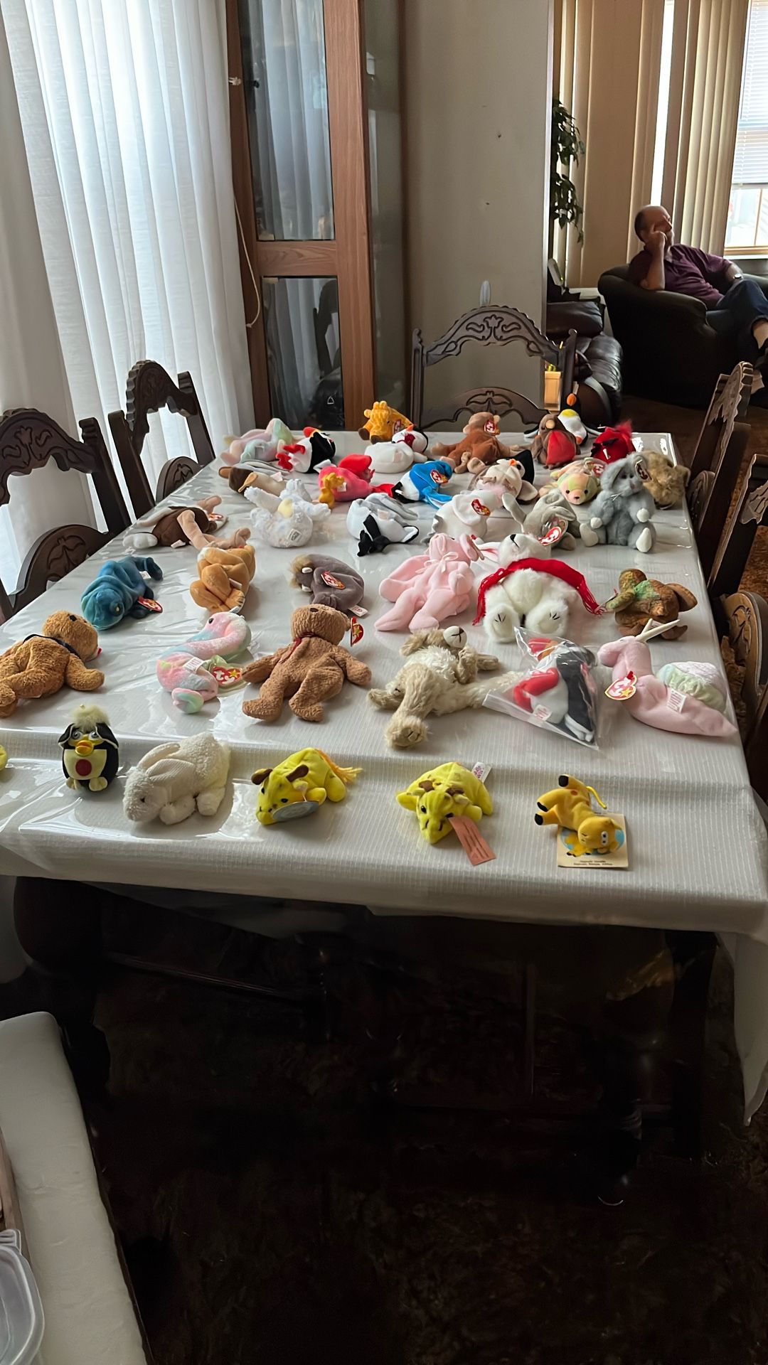 Beanie Babies $10 For All