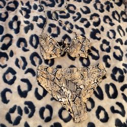 Snakeskin Bikini 